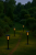 Solarna lampa ogrodowa słupek 79 cm IP65 – prezentacja działania na trawie