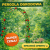 Estetyczna i trwała pergola, która doskonale sprawdzi się jako podpora dla roślin pnących i ozdoba każdej przestrzeni ogrodowej.