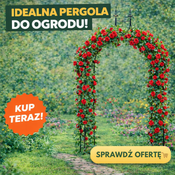 Pergola w aranżacji ogrodu Pergola obsadzona pnączami tworząca efektowne przejście ogrodowe.