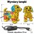05-piesek-niebieskie-uszy-wymiary.jpg
