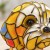 08-shih-tzu-zblizenie-pyszczka.jpg